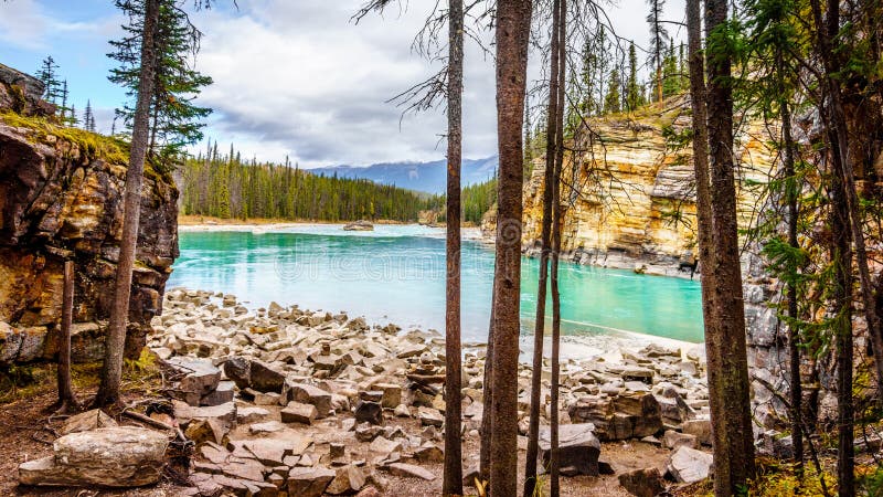 Turkosen färgade vatten av den Athabasca floden fotografering för bildbyråer Turkosen färgade vatten av den Athabasca floden fotografering för bildbyråer