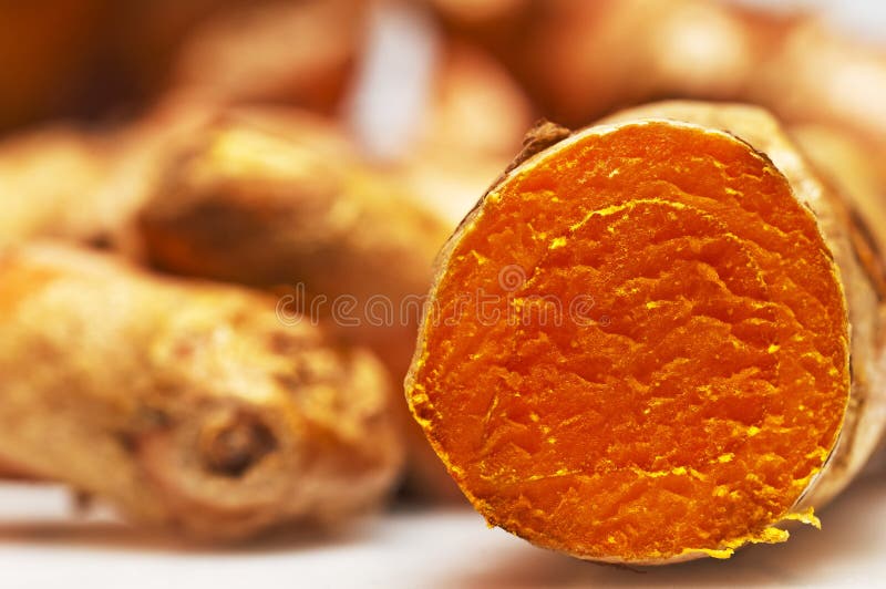 Turmeric, curcuma stock photo. Image of herb, spice, macro 23319228