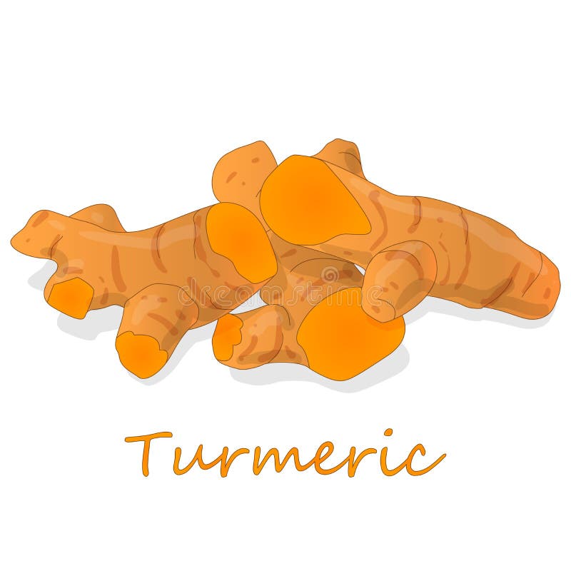 Curcuma Longa and Its Interactions with Certain Drugs Stock