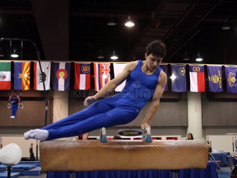 Turner op pommel stock foto's Turner op pommel stock foto's