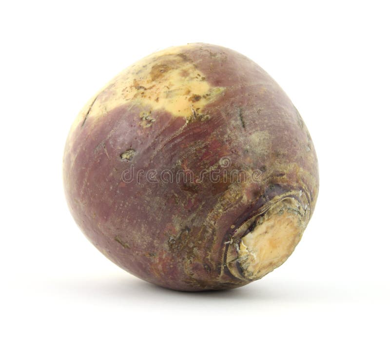 Turnip stock image. Image of turnip, vegetable, agricultural 9853693