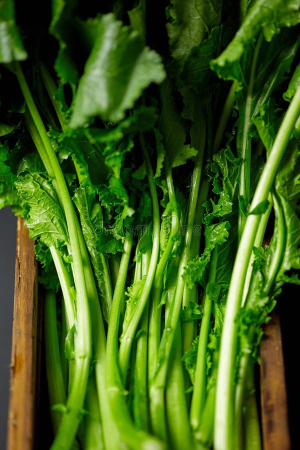 Turnip greens stock image. Image of eating, condiment 62643649