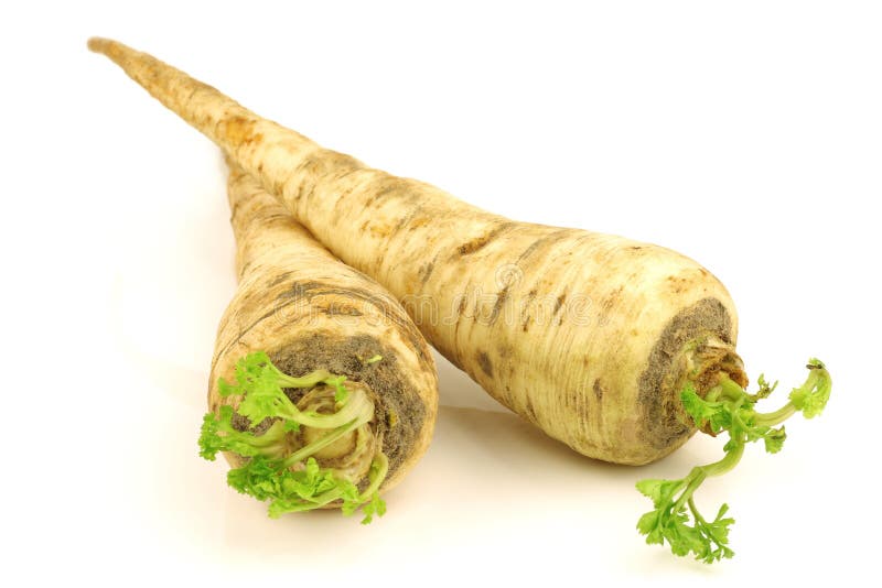 Turnip rooted parsley stock photo. Image of fresh, vitamin 21792788