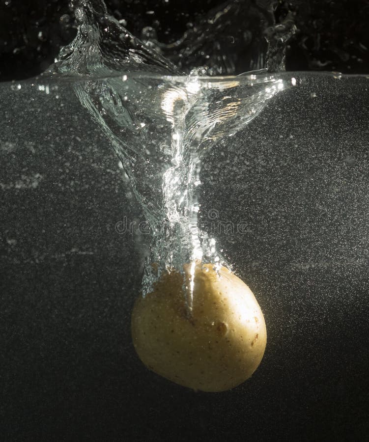 Turnip in Water with Splashes on a Black Background Stock Image Image