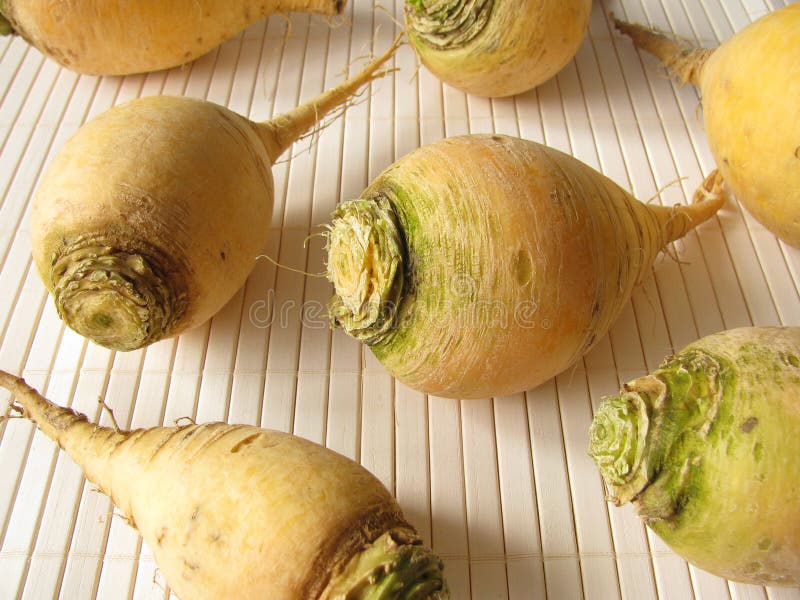 Stubble Turnip Stock Photos Free & RoyaltyFree Stock Photos from