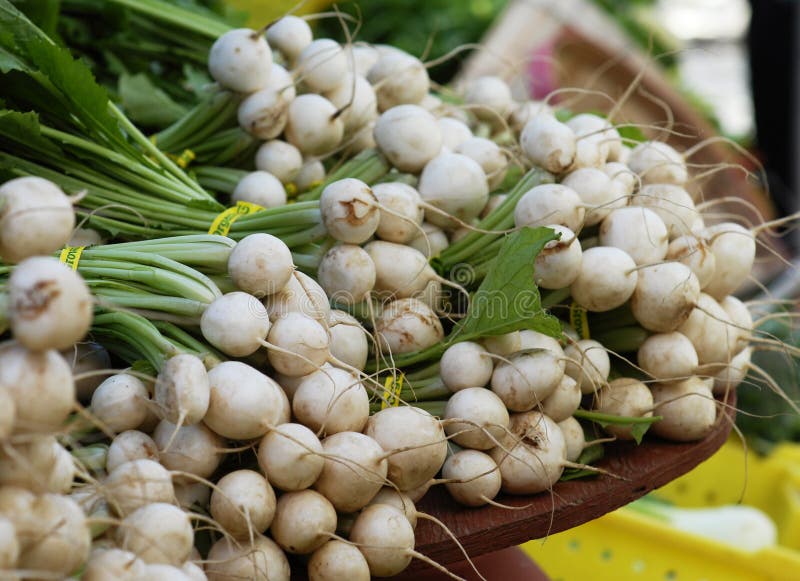 Turnips for Sale stock photo. Image of fruit, sale, food 9033254