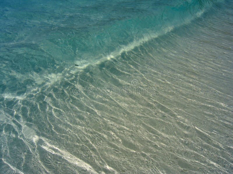 Turquoise beach wave