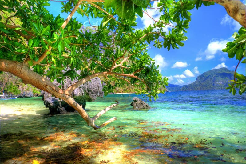 Turquoise lagoon stock photo. Image of scenic, dream - 14226252