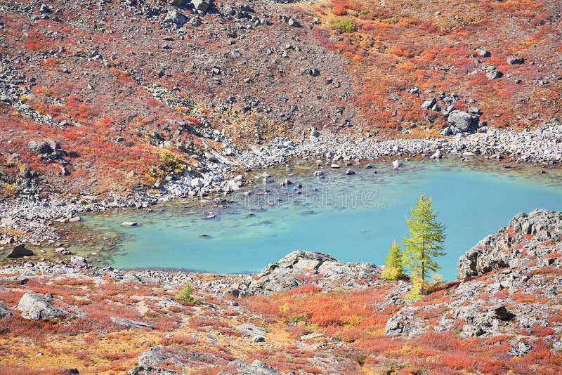 Turquoise Lake – autumnal colors in Altai Mountain