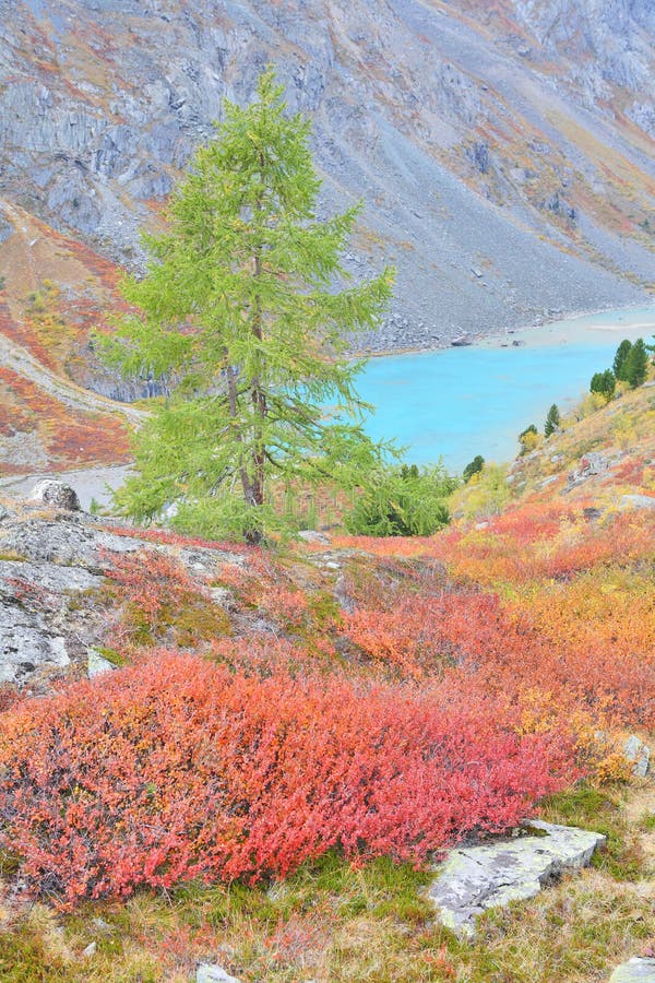 Turquoise Lake – autumnal colors in Altai Mountain