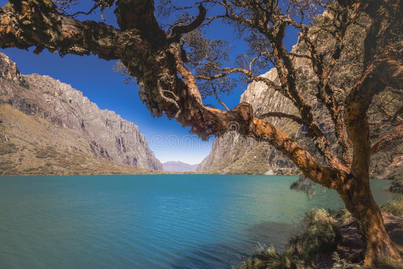 Turquoise Llanganuco Lake In Cordillera Blanca, Snowcapped Andes ...