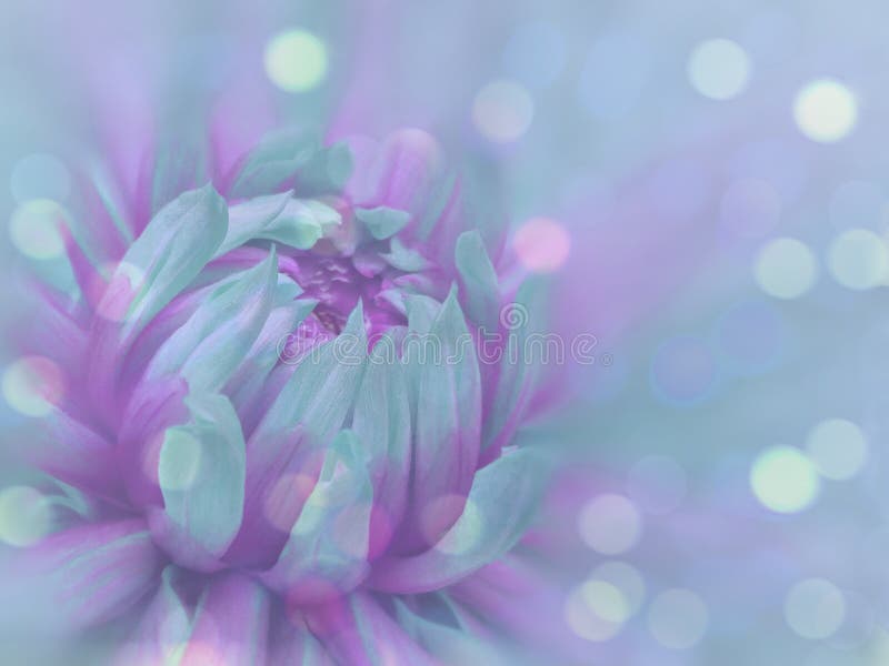 134,300+ Transparent Flower Stock Photos, Pictures & Royalty-Free