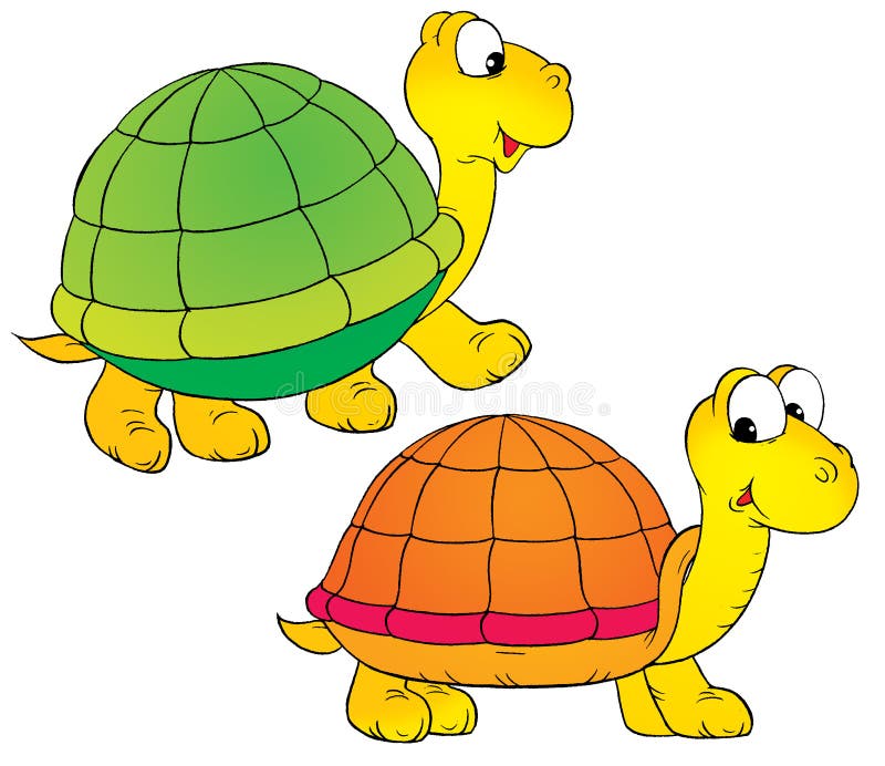 Turtle royalty free illustration