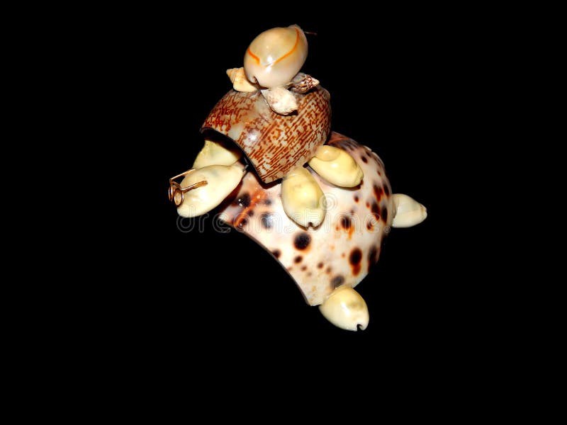Turtle figurine of sea shells on a black background stock photo