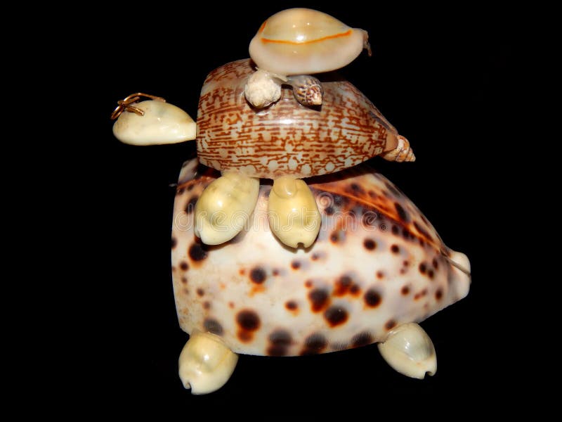 Turtle figurine of sea shells on a black background royalty free stock photography