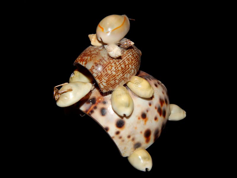 Turtle figurine of sea shells on a black background royalty free stock photography