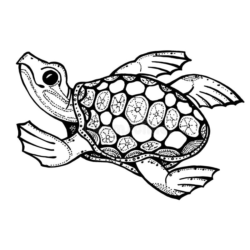 The Turtle Hand Draw Black and White Vector Image Coloring Page Stock ...