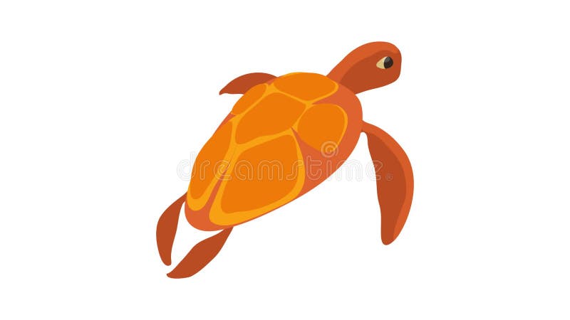 Turtle icon animation vector illustration
