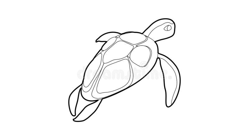Turtle icon animation royalty free illustration