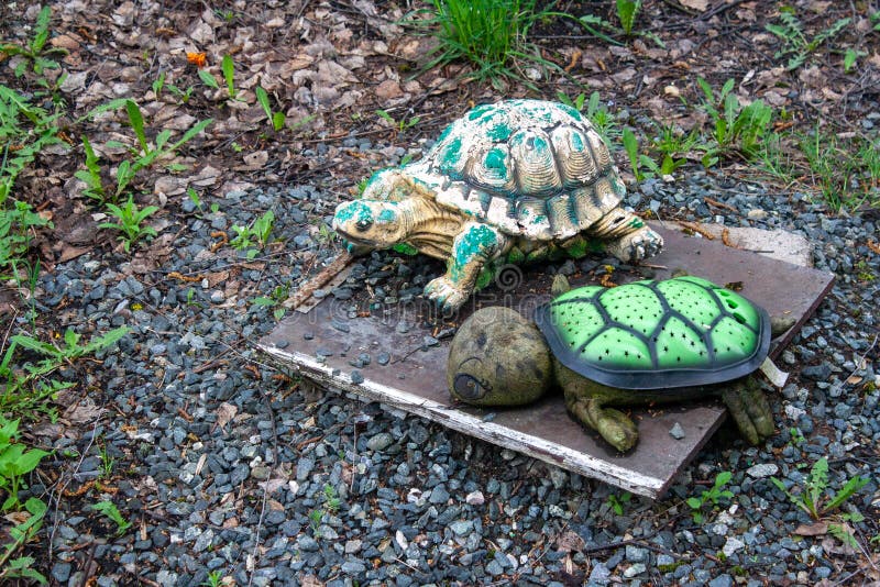 182 Concrete Turtle Photos - Free & Royalty-Free Stock Photos from