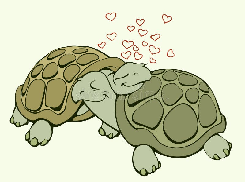 Turtles in love