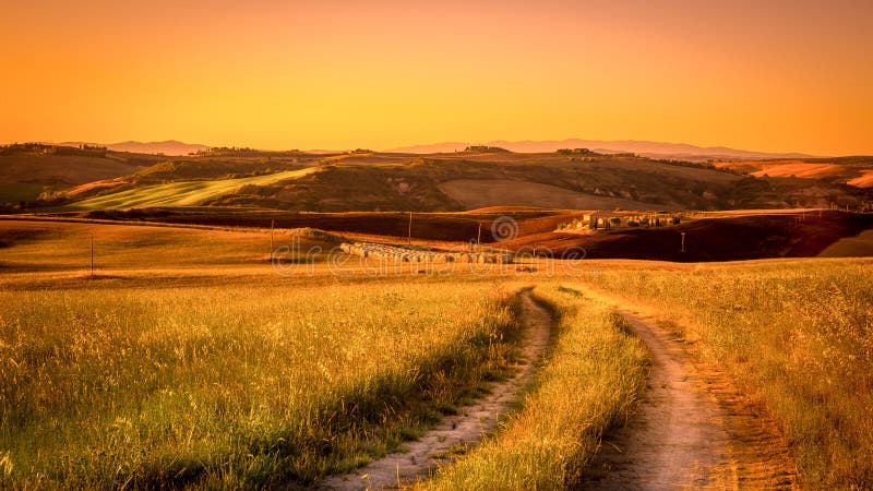 Tuscan country road