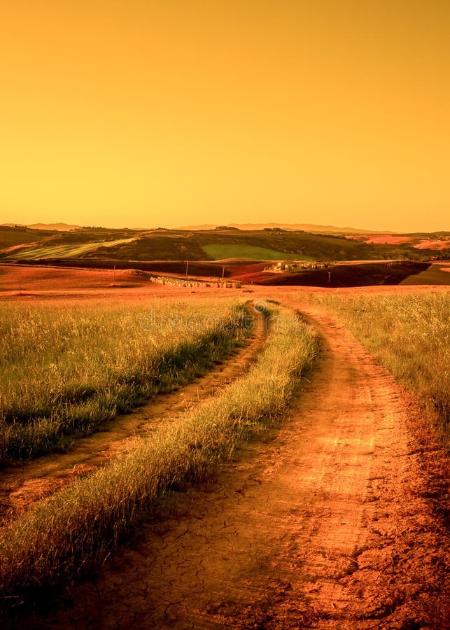 Tuscan country road