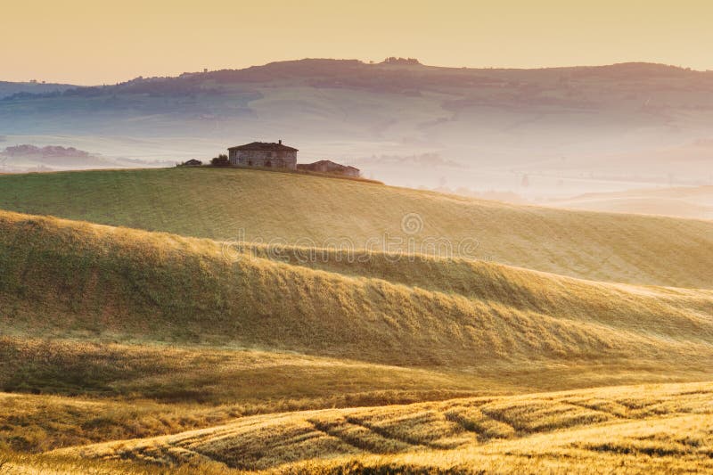 Tuscan dimma i fälten solsken, Italien royaltyfri bild Tuscan dimma i fälten solsken, Italien royaltyfri bild