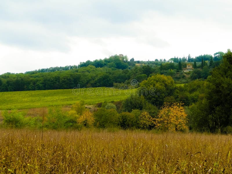 Tuscan field on a cloudy day stock photos