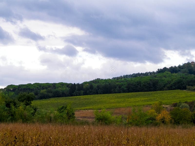 Tuscan field on a cloudy day royalty free stock photo