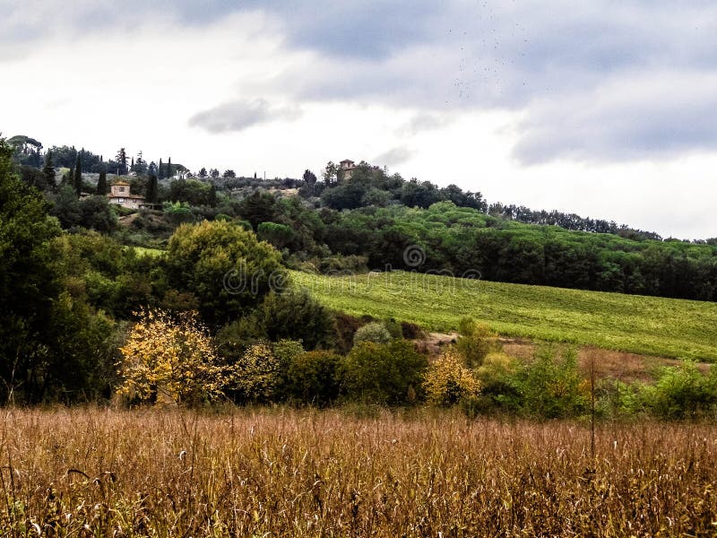 Tuscan field on a cloudy day stock images