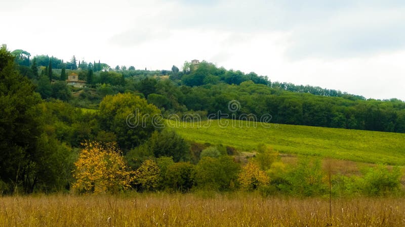 Tuscan field on a cloudy day royalty free stock images