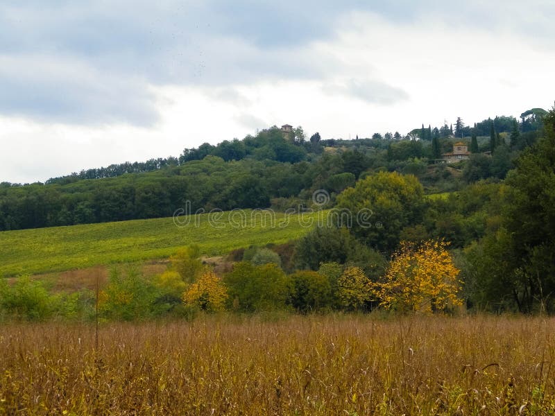 Tuscan field on a cloudy day stock photo