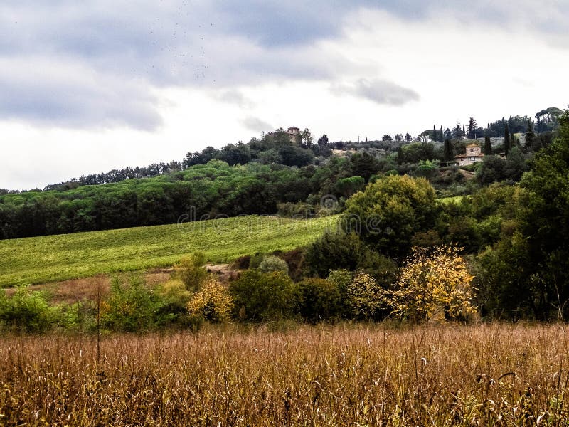 Tuscan field on a cloudy day stock photography