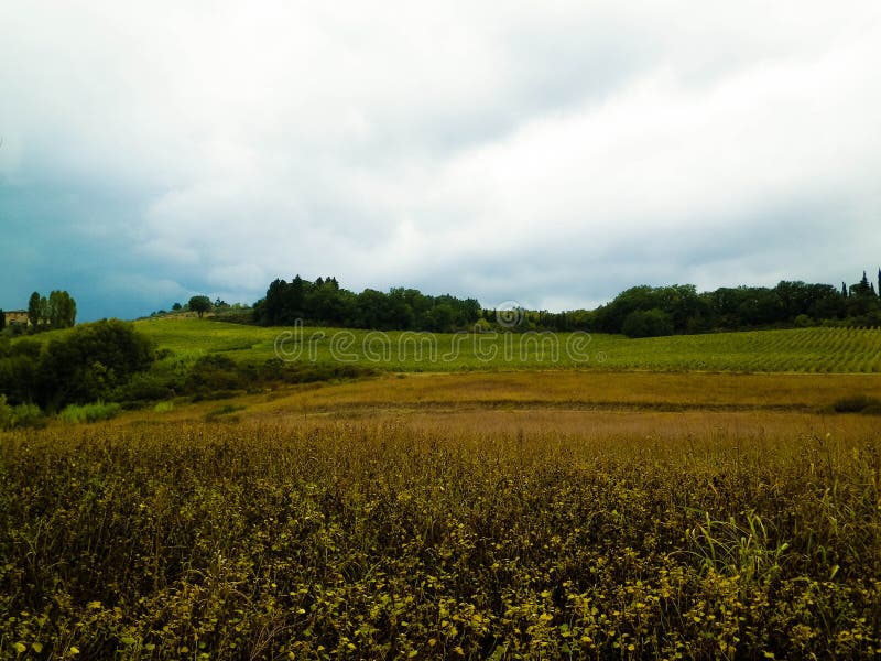 Tuscan field on a cloudy day royalty free stock photo