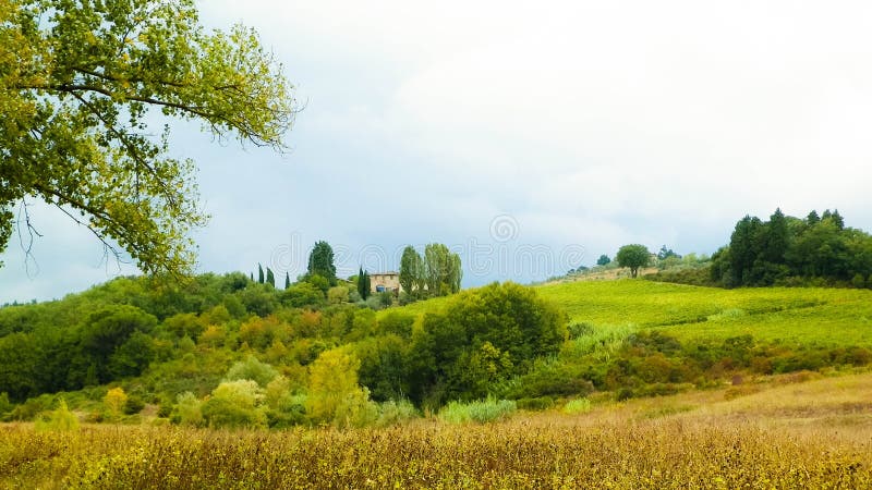 Tuscan field on a cloudy day stock images
