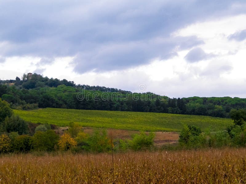 Tuscan field on a cloudy day royalty free stock images