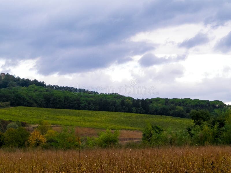 Tuscan field on a cloudy day royalty free stock images