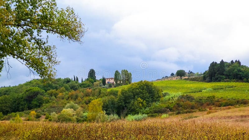 Tuscan field on a cloudy day royalty free stock photography