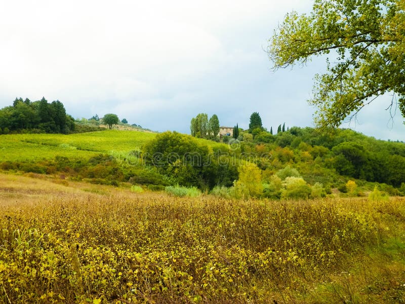 Tuscan field on a cloudy day stock images