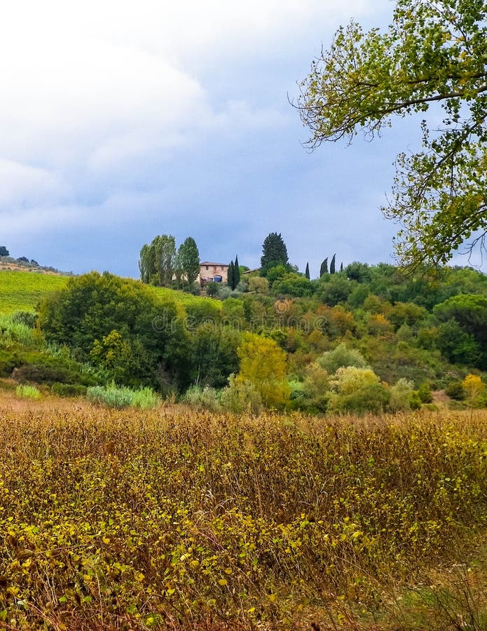 Tuscan field on a cloudy day stock photos