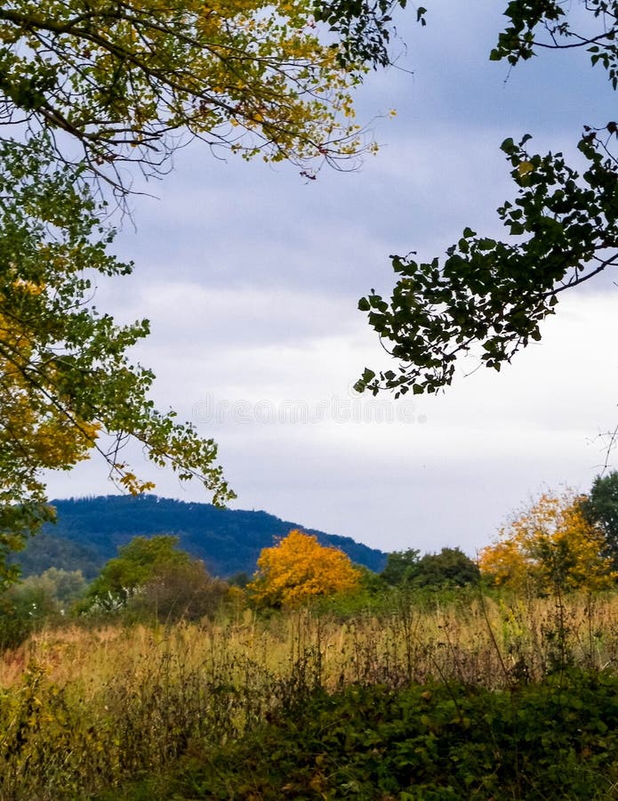 Tuscan field on a cloudy day stock image
