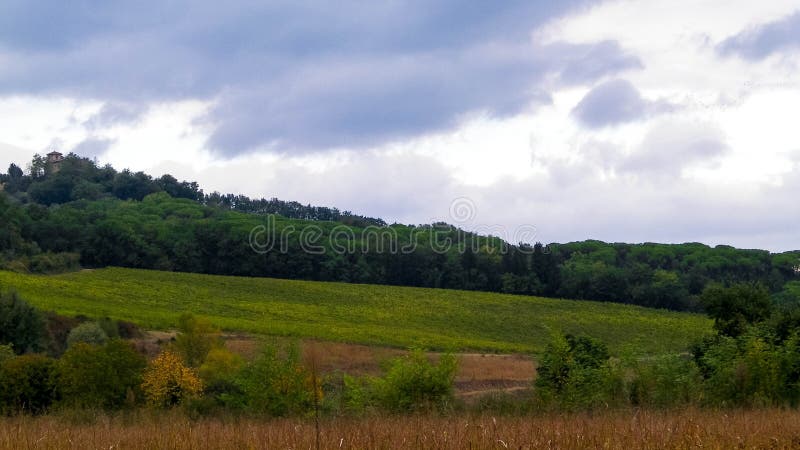 Tuscan field on a cloudy day royalty free stock photography