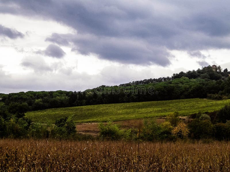 Tuscan field on a cloudy day stock photography