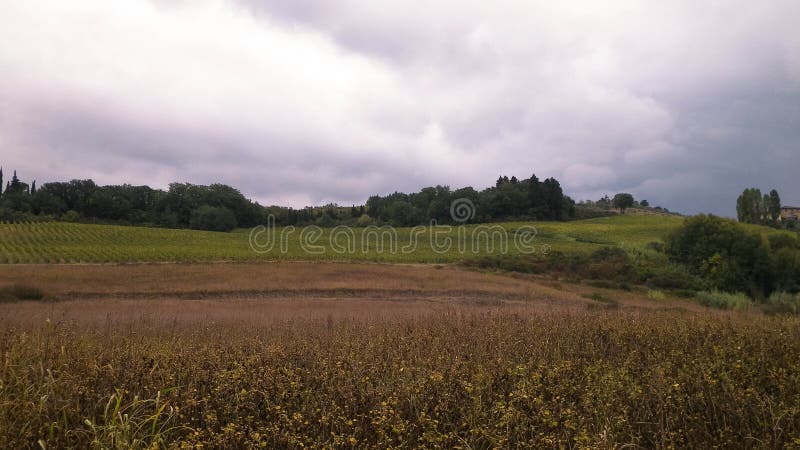 Tuscan field on a cloudy day royalty free stock photo