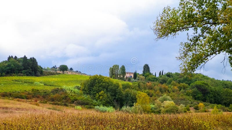 Tuscan field on a cloudy day royalty free stock photos