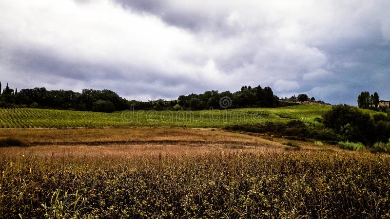 Tuscan field on a cloudy day stock photography