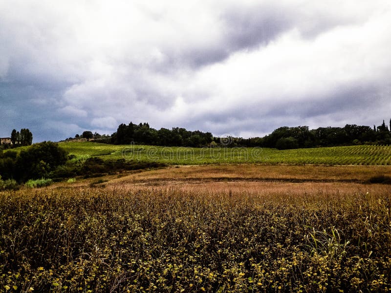 Tuscan field on a cloudy day stock image