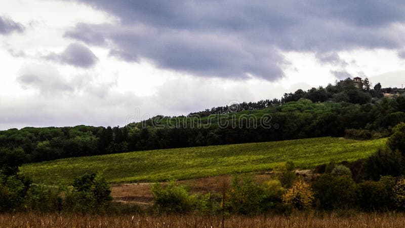 Tuscan field on a cloudy day royalty free stock photo