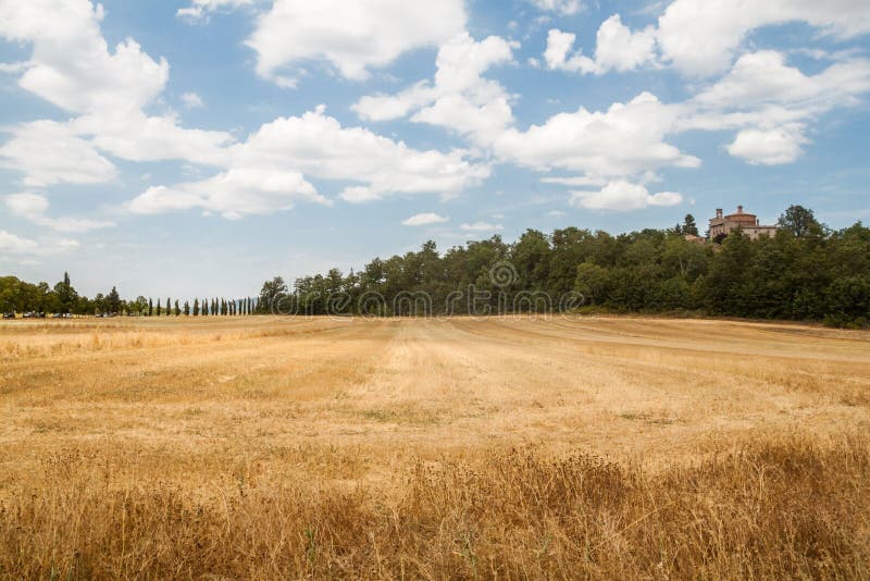 Tuscan landscape